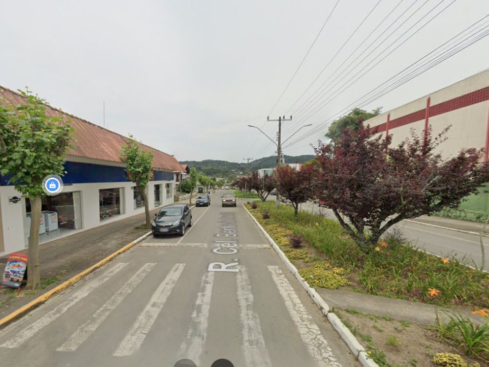 Rua arborizada da cidade de Campo Alegre em SC, com comércio local, trânsito leve e canteiro central bem cuidado com árvores e flores.