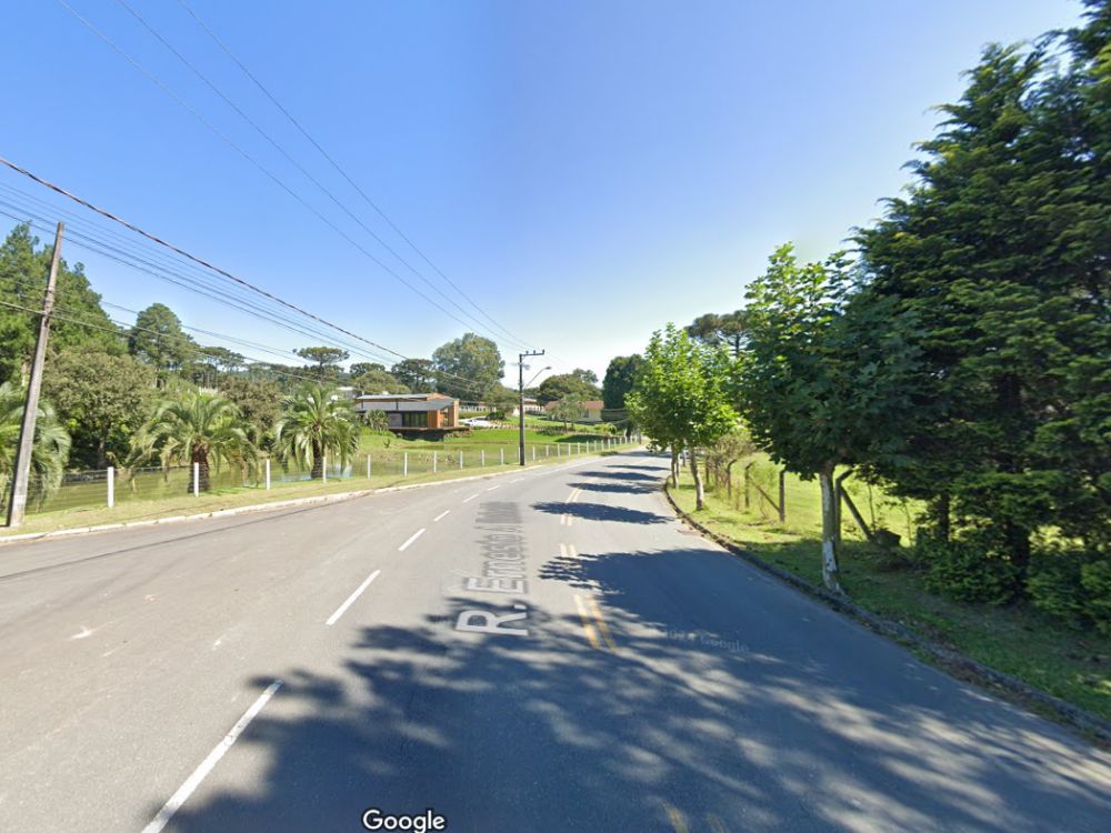 Avenida arborizada com casas e áreas verdes, exemplo de tranquilidade urbana e charme interiorano em O que fazer em Campo Alegre.